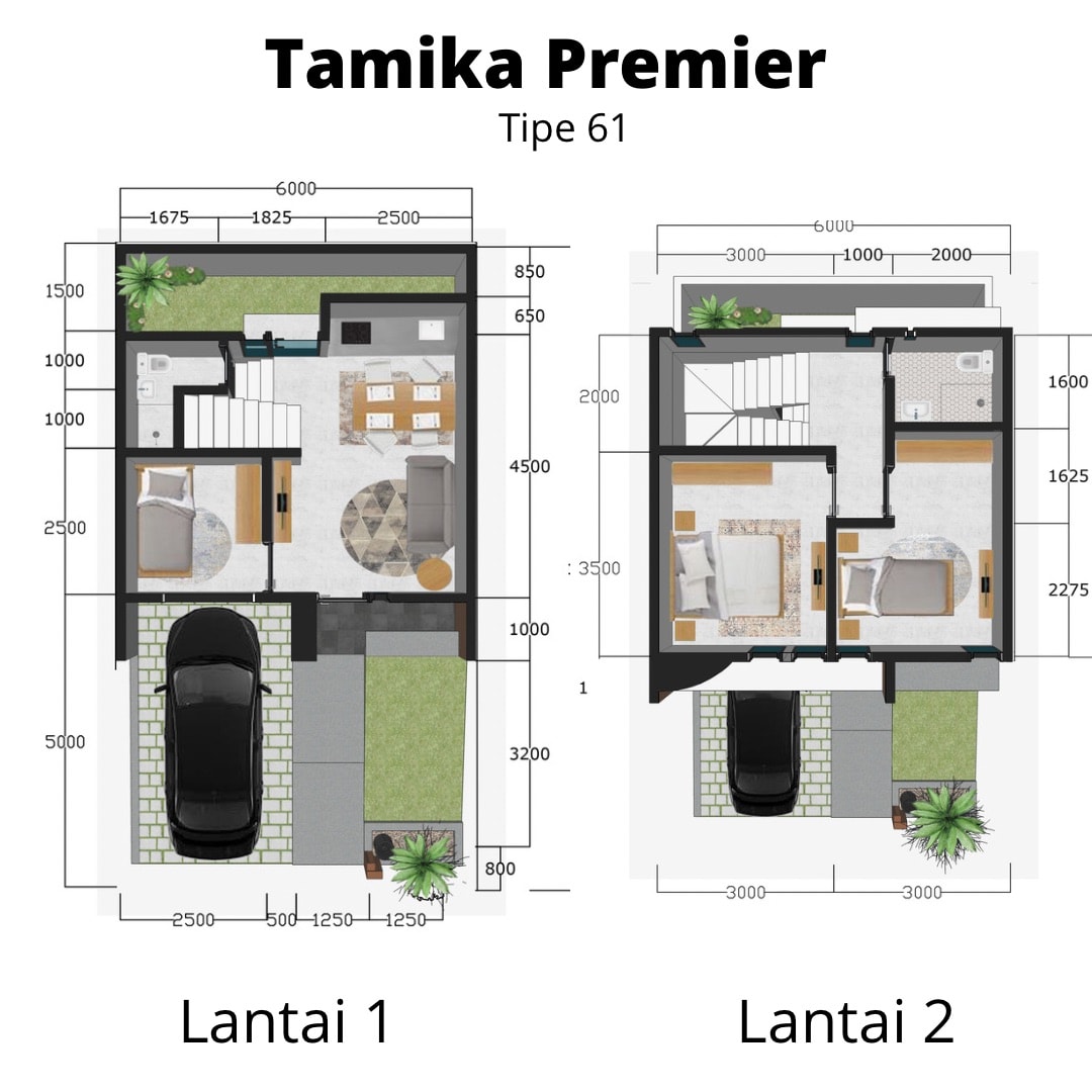 tamika-premier